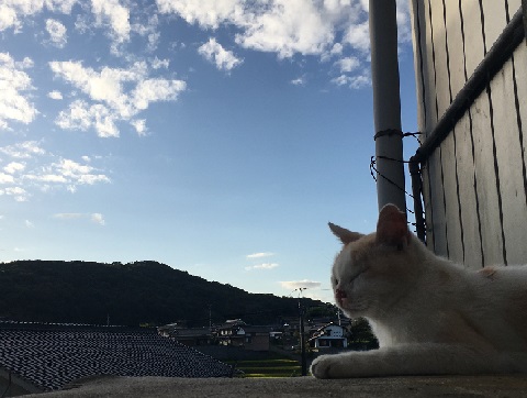 気持ちよさそう！