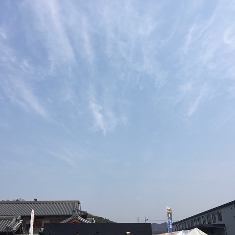 いいお天気でした