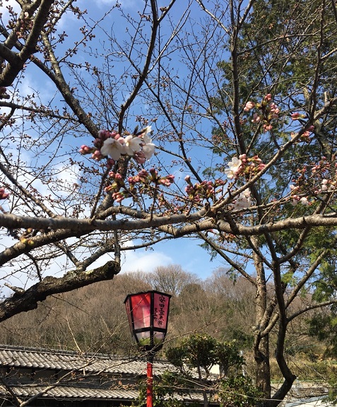 井戸公園