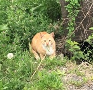 帰り道で偶然ばったり