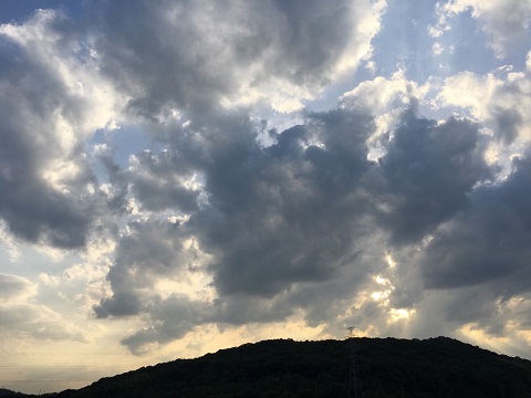 夏の雲になってきました