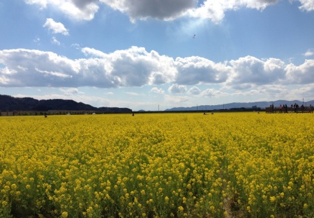 黄金が続きます♪