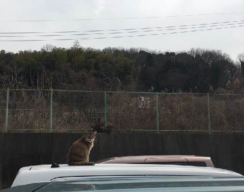 おてんばさん!