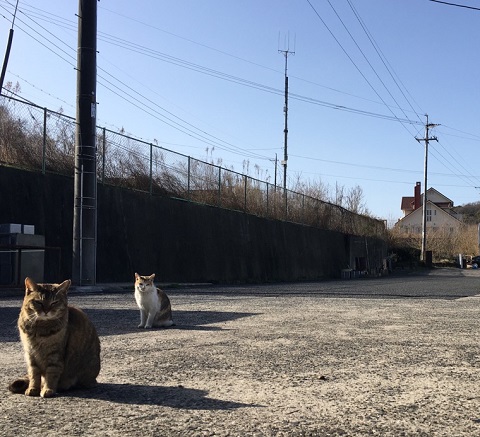 たわちゃんときらり