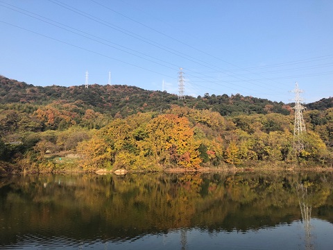 笠岡市西部