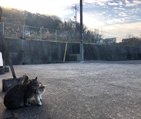 朝から仲睦まじき